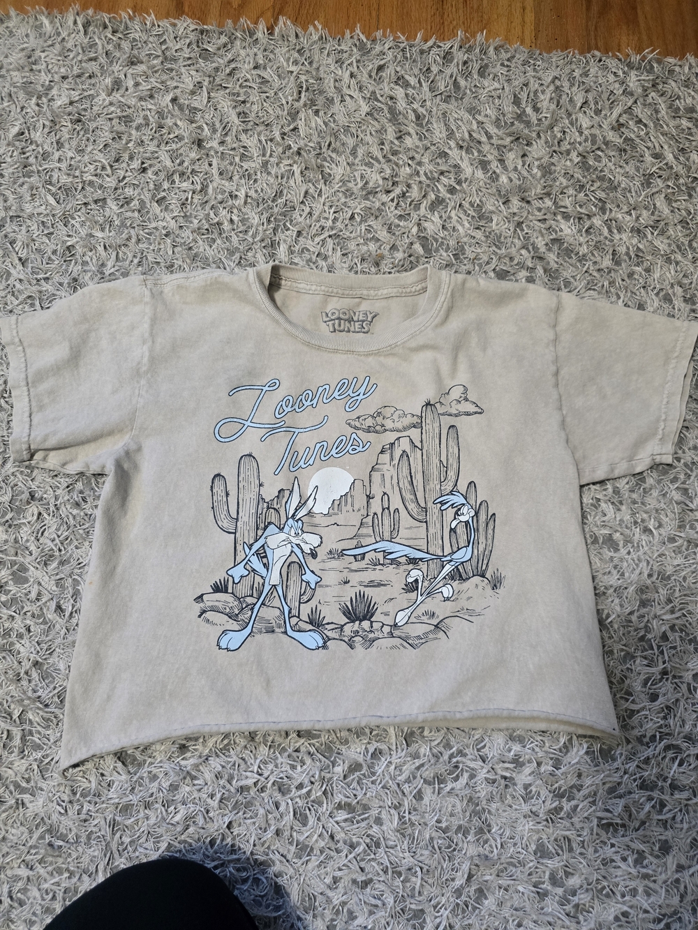 Looney Tunes Cropped Graphic Tee XS Road Runner Wile E Coyote Desert Y2K Style